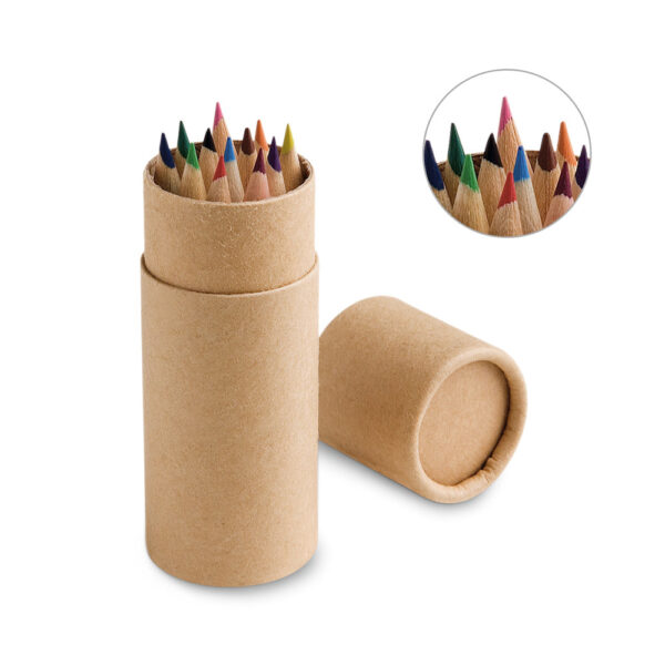 estojo com lápis com 12 cores
